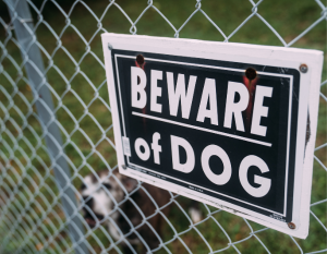 What Are the Long-Term Complications of Dog Bites?